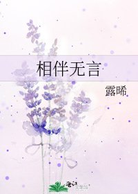 《相伴无言》