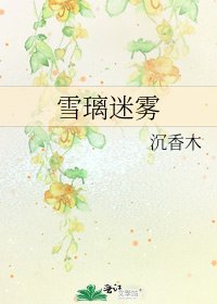 《雪璃迷雾》