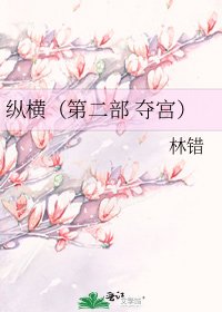 《纵横(第二部 夺宫)》
