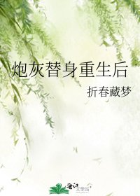 《炮灰替身重生後》
