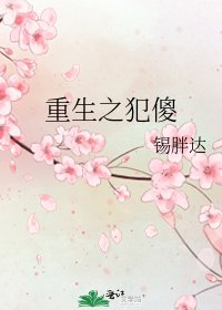 《重生之犯傻》