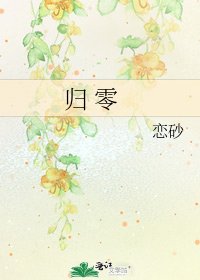 《归 零》