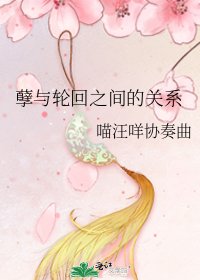 《孽与轮回之间的关系》