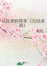 《从奴隶到将军(求砖)》