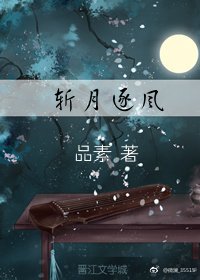 《斬月逐風》