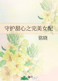 《守護甜心之完美女配》