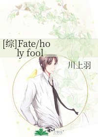 [综]Fate/holy fool