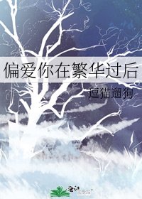 《偏愛你在繁華過後》