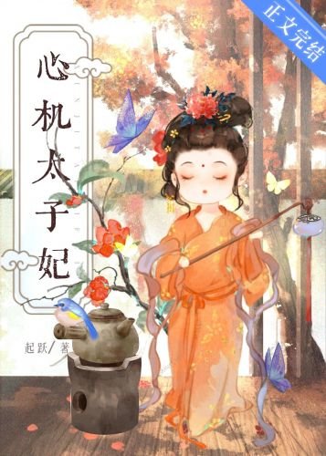 《心機太子妃》