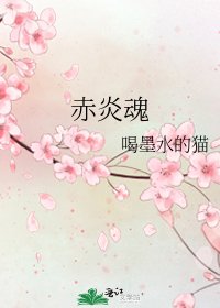 《赤炎魂》