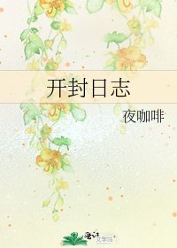 《开封日志》