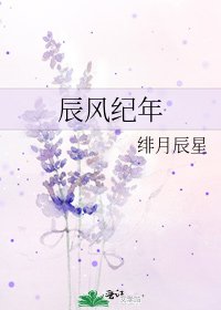 《辰风纪年》