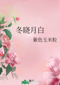 冬晓月白
