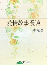 《爱情故事漫谈》