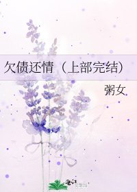 欠債還情（上部）