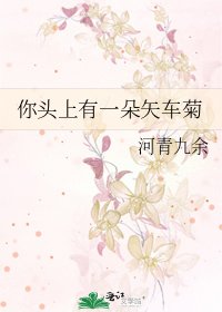 《你頭上有一朵矢車菊》