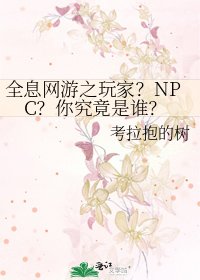 《全息网游之玩家?NPC?你究竟是谁?》