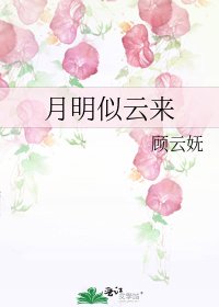 月明似云来