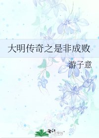 《大明傳奇之是非成敗》