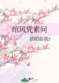 《绾风凭素问》