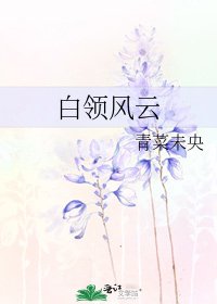 《白領風雲》