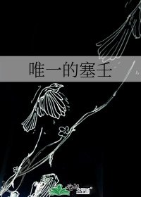 《唯一的塞壬》