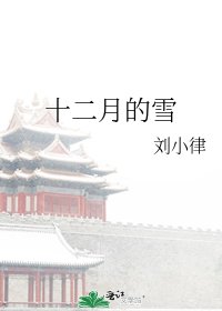 《十二月的雪》