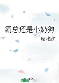 霸总还是小奶狗