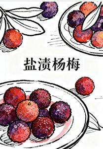 《鹽漬楊梅》