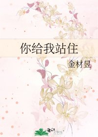 《你给我站住》