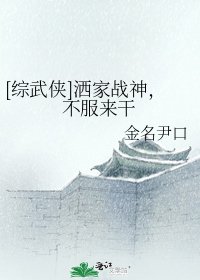 [综武侠]洒家战神，不服来干