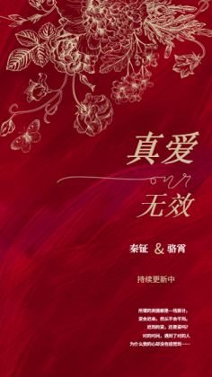 《真爱无效》