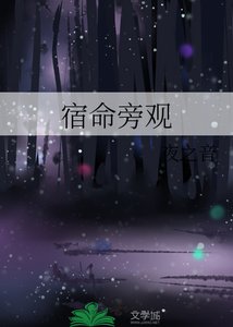 《宿命旁观》