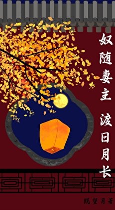 《狞隨妻主,渡绦月偿(女尊)》