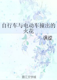 《自行车与电动车撞出的火花》