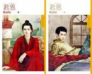 《君恩(出書版)》