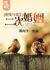 《(BG/傲慢与偏见)二次婚姻》