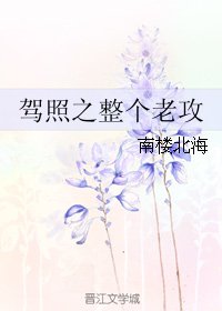 《驾照之整个老攻》